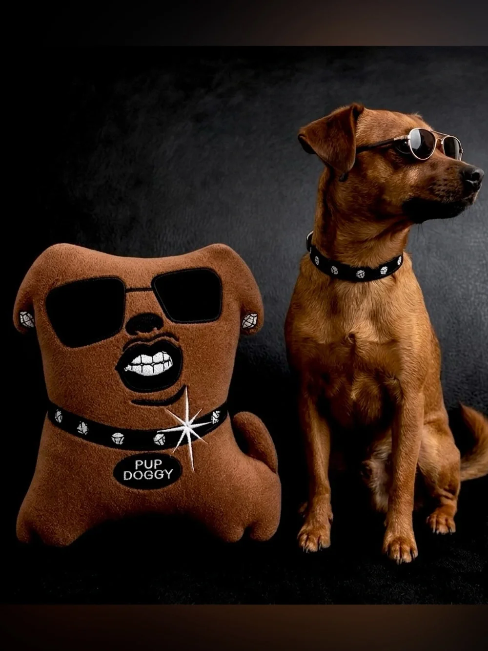 “Pup Doggy” P Diddy Puff Daddy Plush Puppy Dog Chew Toy Squeaky Humor Celebrity